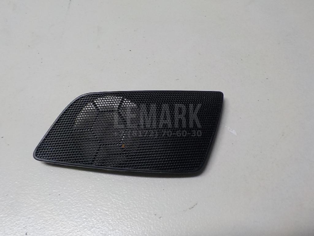 Решетка динамика 1Z08681599B9 VAG