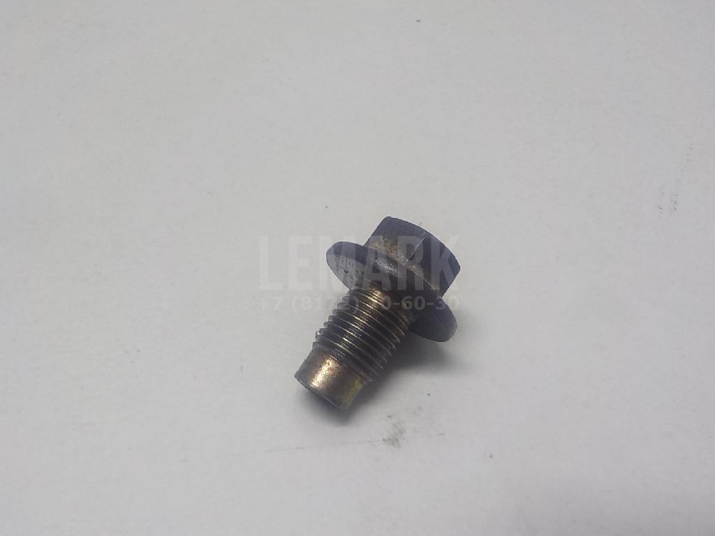 Пробка масляного поддона LF479Q11009013A Lifan