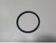 Кольцо уплотнительное (двигатель)