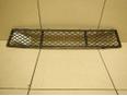 Решетка в бампер центральная