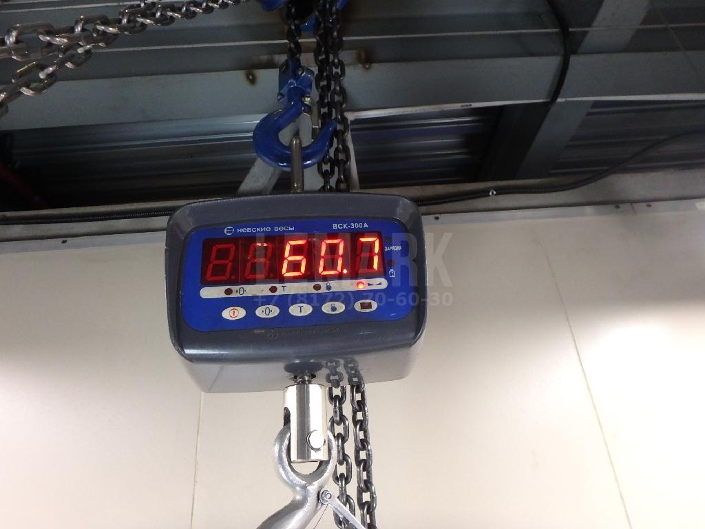 Ноускат