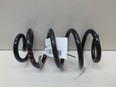 Пружина задняя