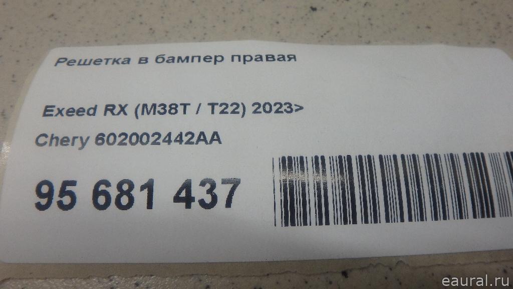 Решетка в бампер правая