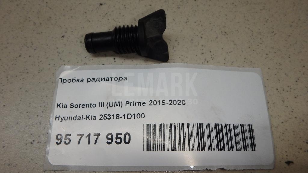Пробка радиатора 253181D100 Hyundai-Kia
