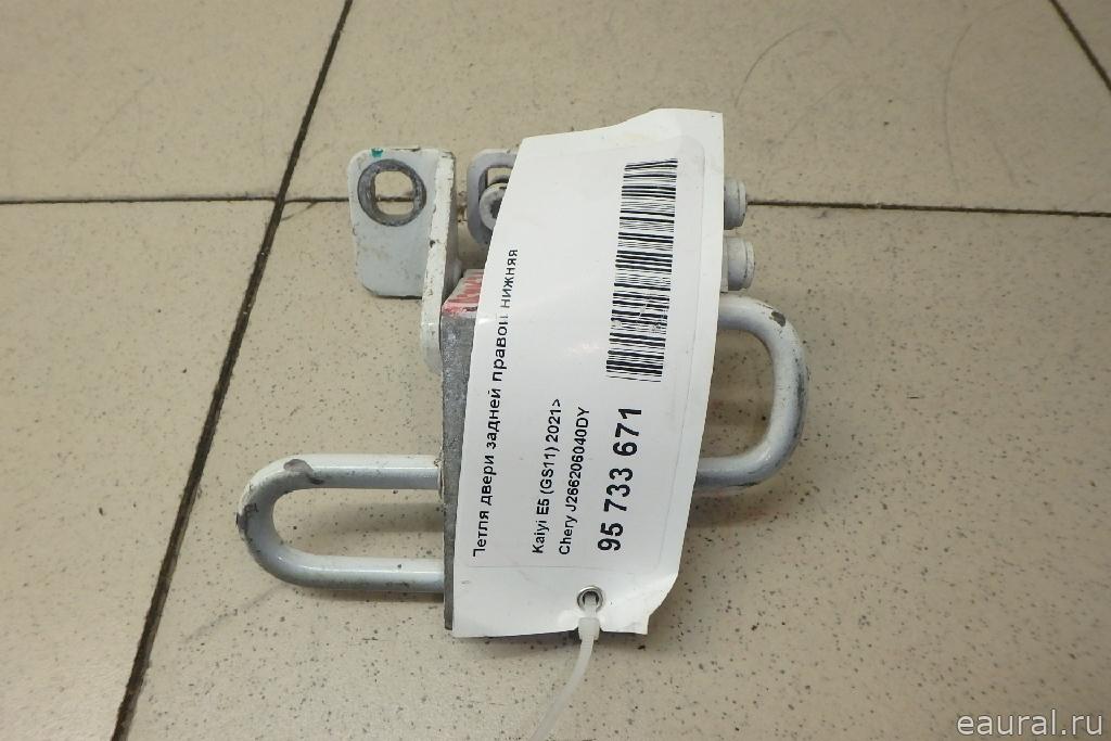 Петля двери задней правой нижняя