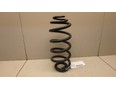 Пружина задняя