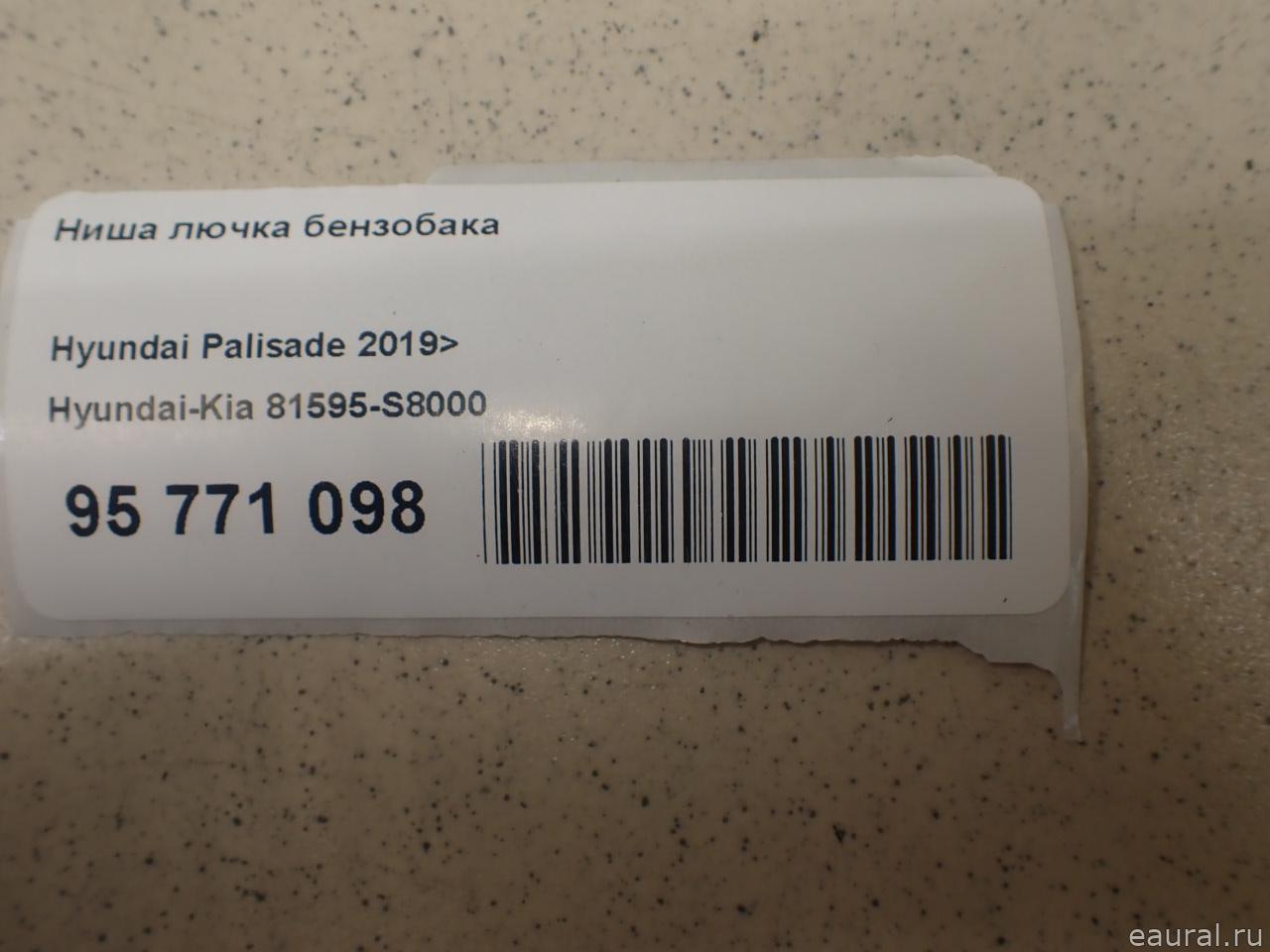 Ниша лючка бензобака