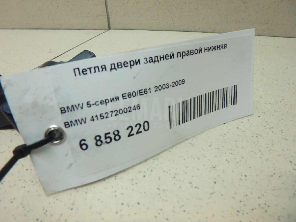 Петля двери задней правой нижняя