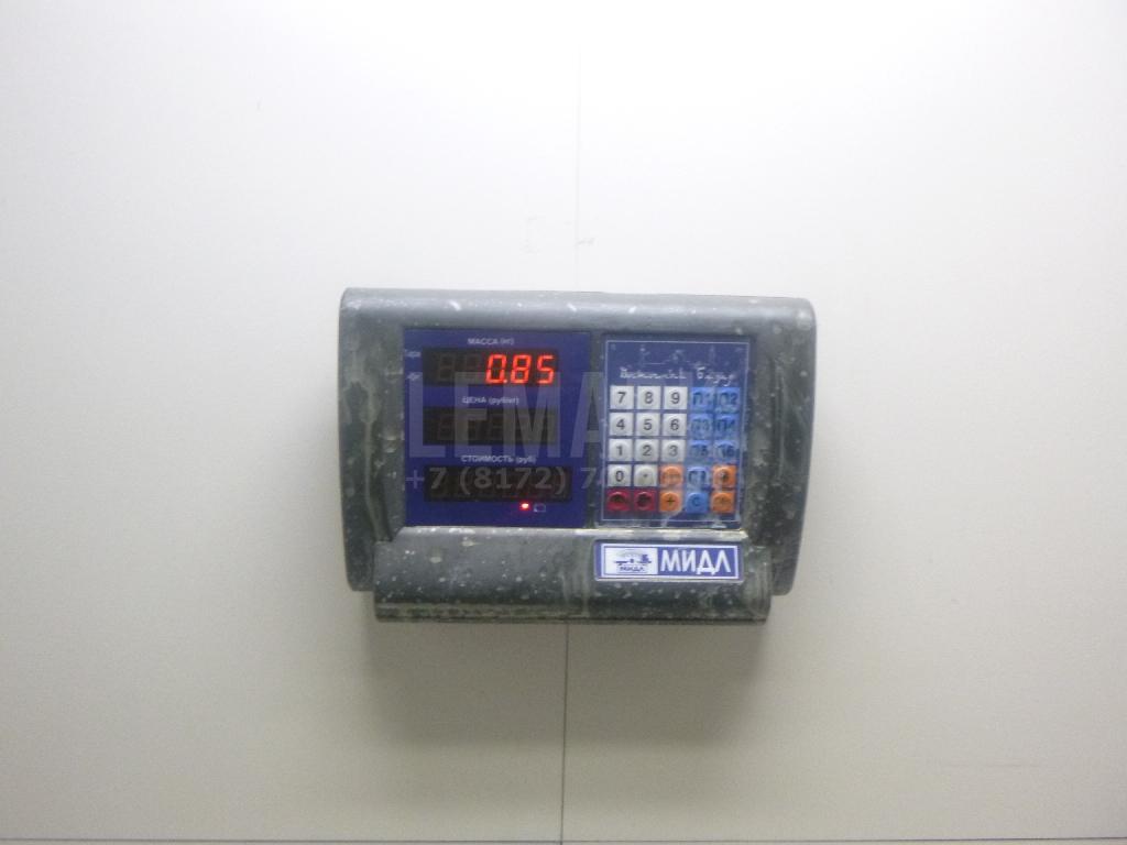 Цапфа (п.з.к.)