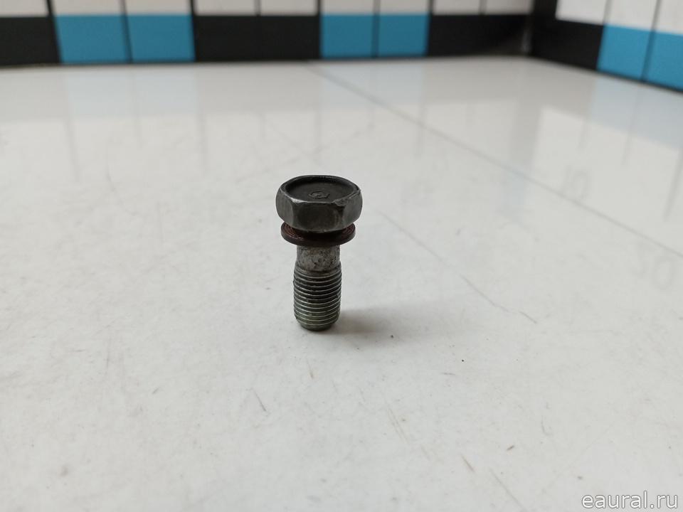 Болт полый