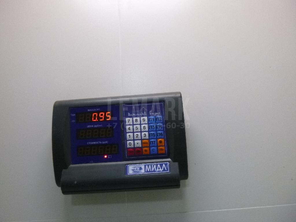 Поршень с шатуном