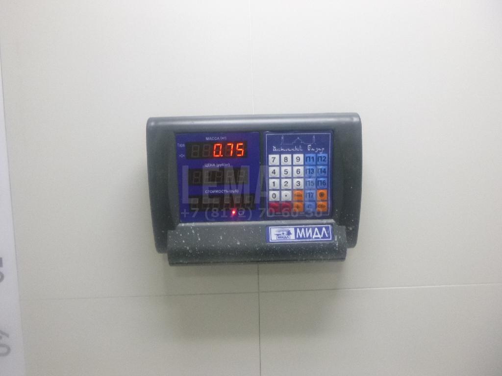 Поршень с шатуном