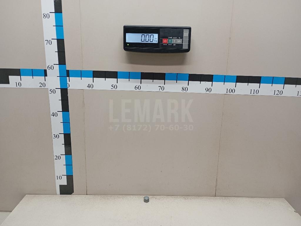 Колпачок колёсного болта 3101019XKW09A Great Wall
