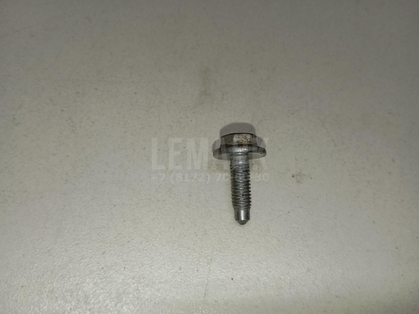 Болт N91079901 VAG