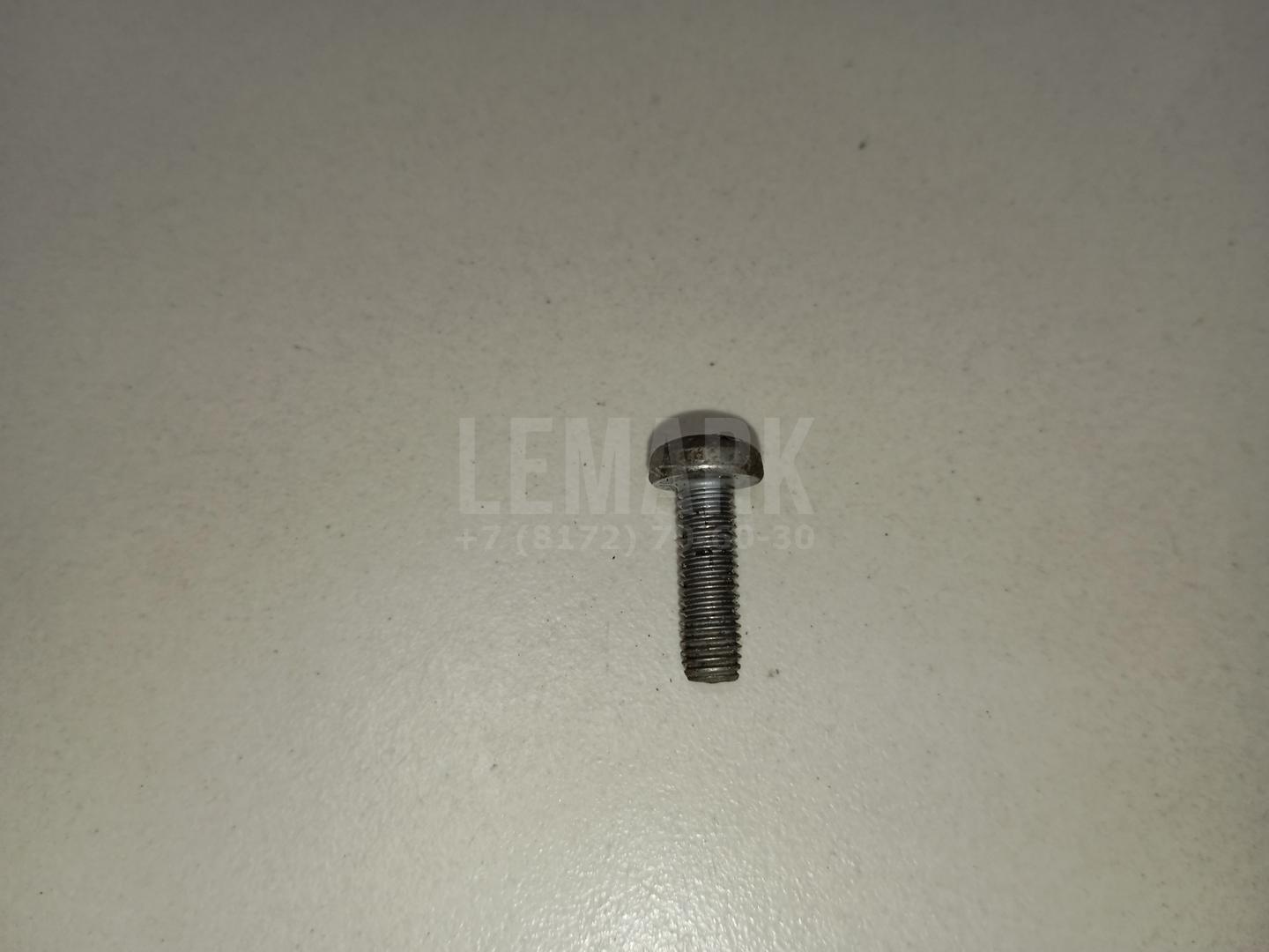 Винт N10430104 VAG