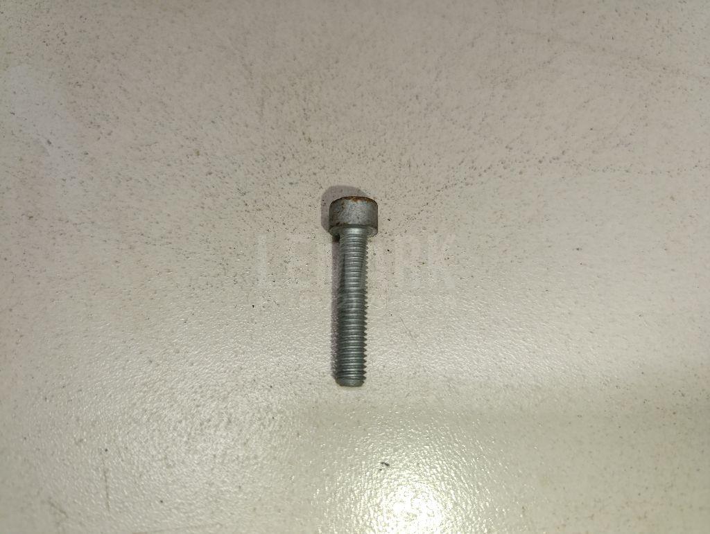 Винт N10620901 VAG