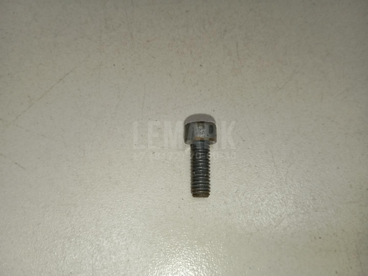 Винт N10546403 VAG