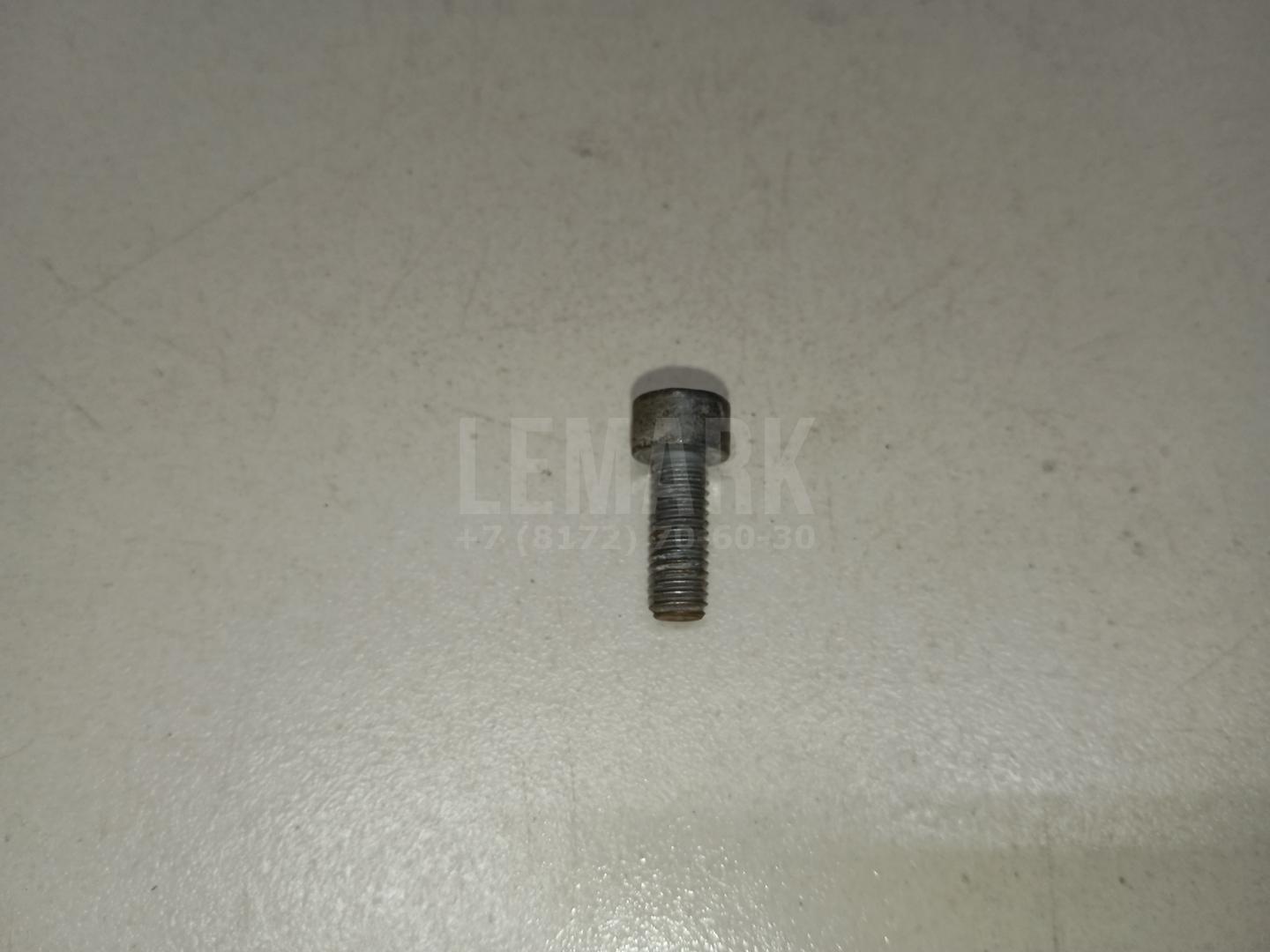 Винт N10546403 VAG
