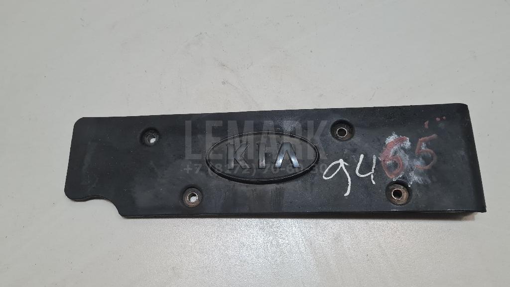 Накладка декоративная 224052B010 Hyundai-Kia