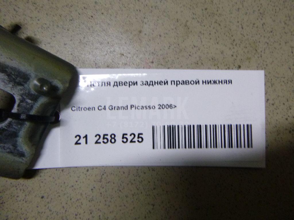 Петля двери задней правой нижняя