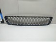 Решетка в бампер центральная