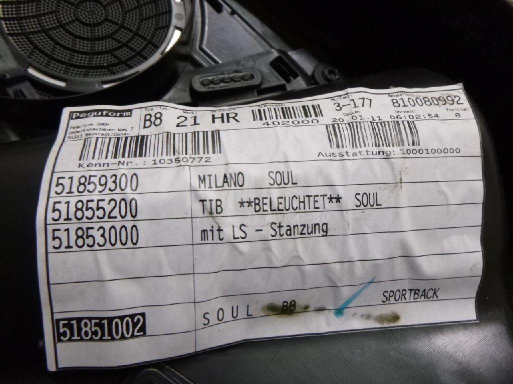 Обшивка двери задней правой для  BMW X5 F15/F85 2013-2018
