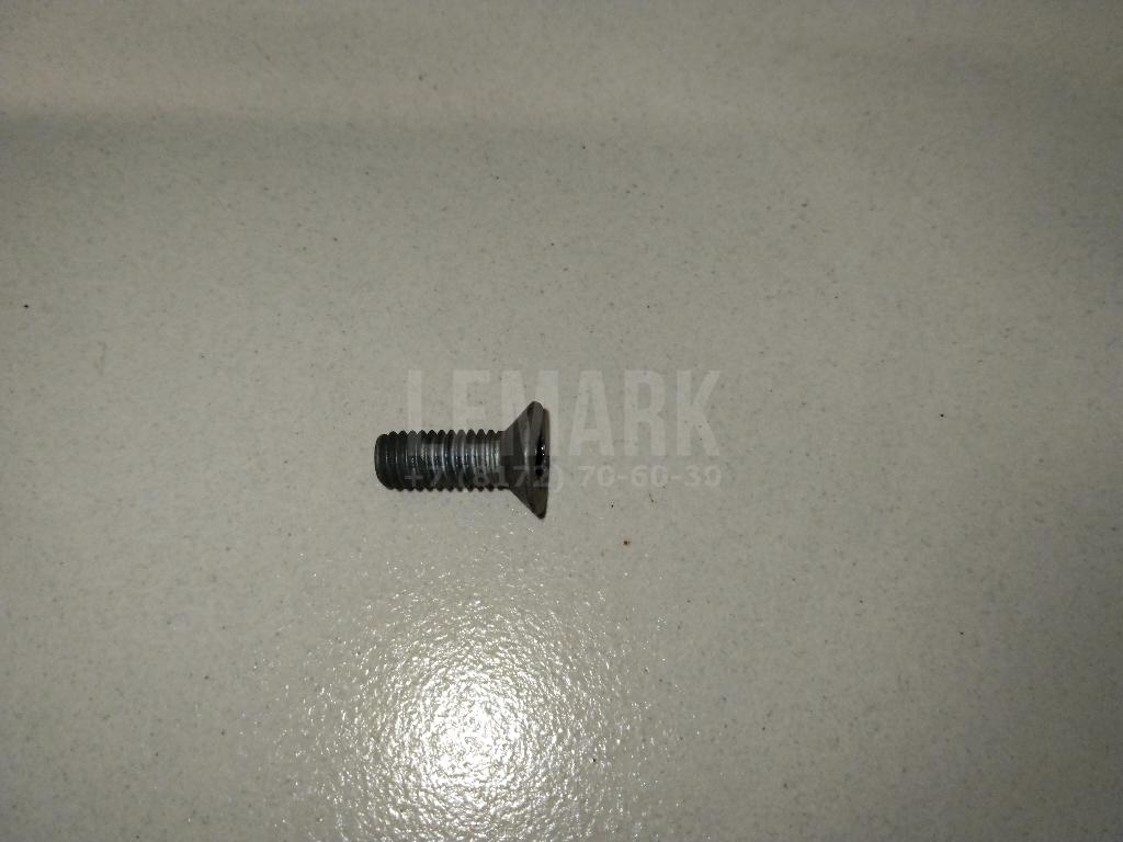 Винт Q2580616T1FDE Great Wall