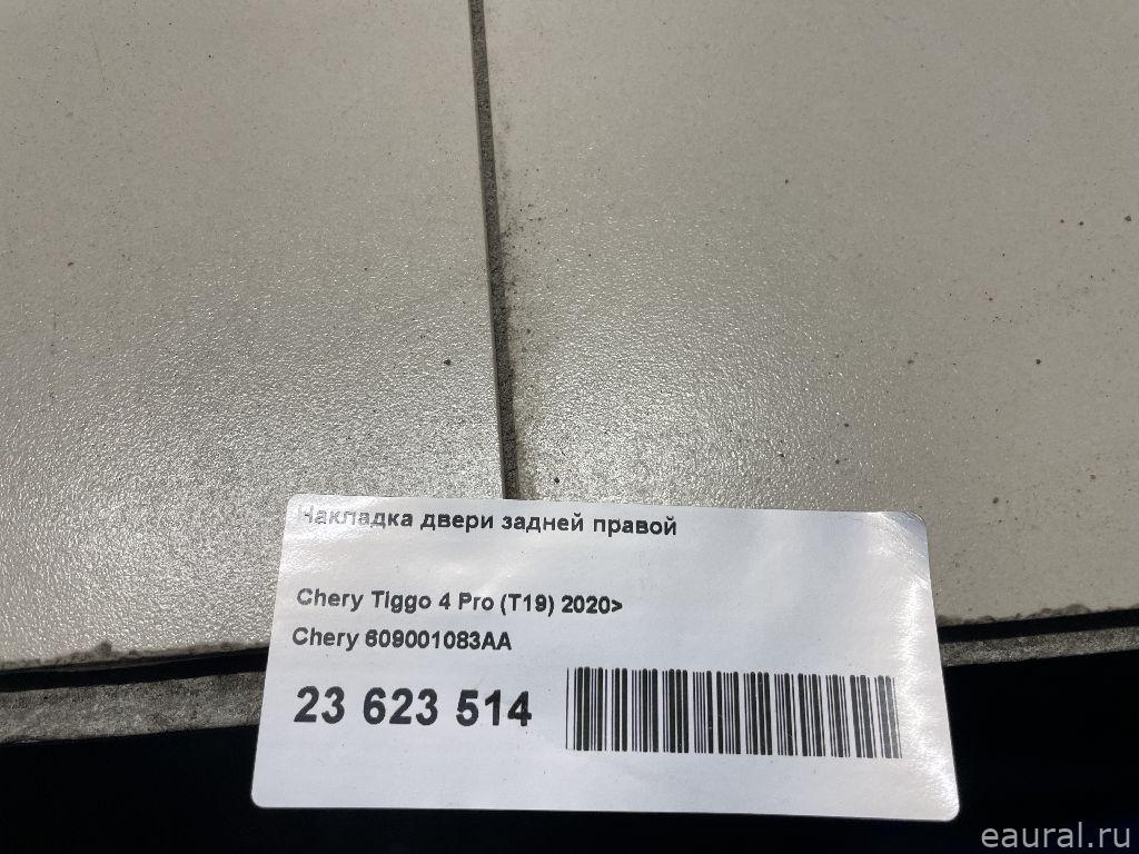Накладка двери задней правой