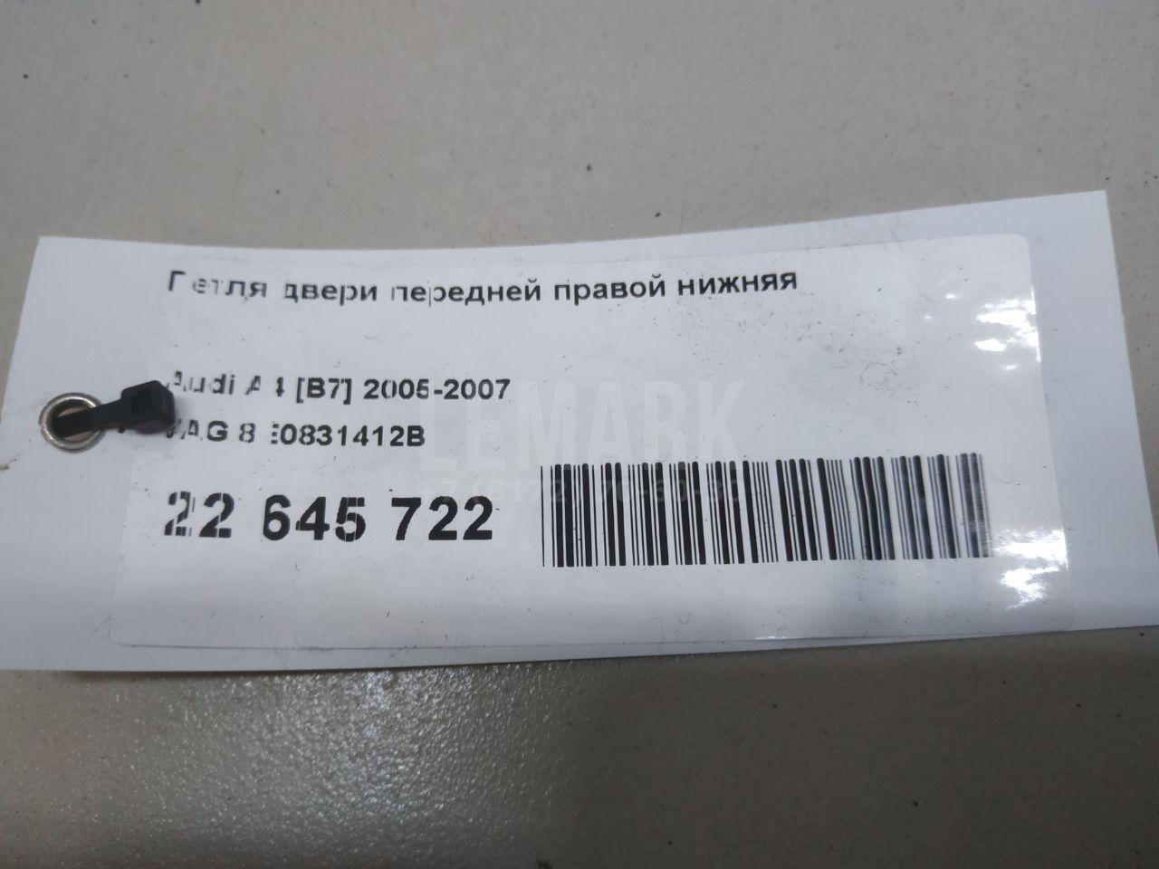Петля двери передней правой нижняя