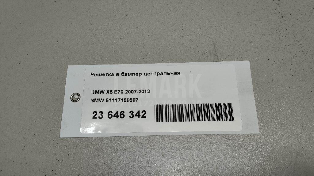 Решетка в бампер центральная для  BMW X5 G05 2018