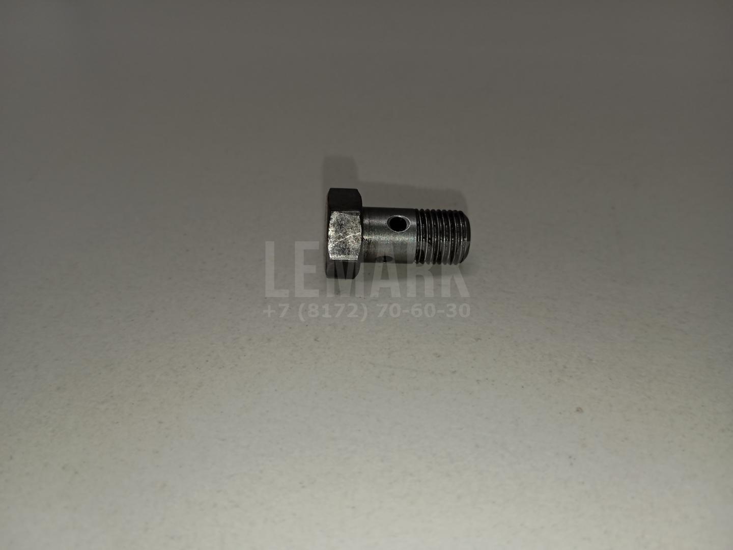 Болт полый для  BMW X1 E84 2009-2015