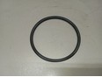 Кольцо уплотнительное (двигатель)