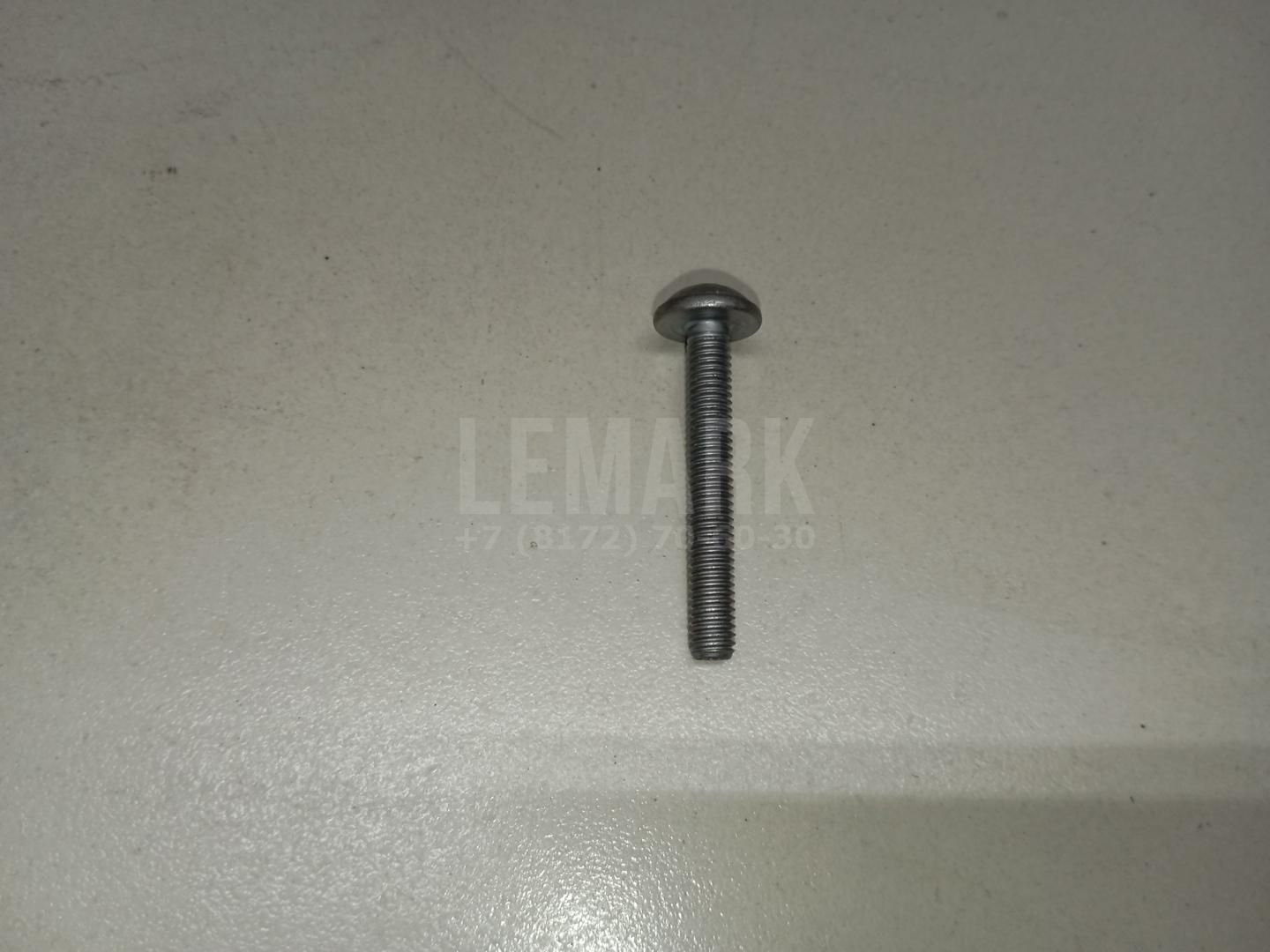 Винт N10865901 VAG