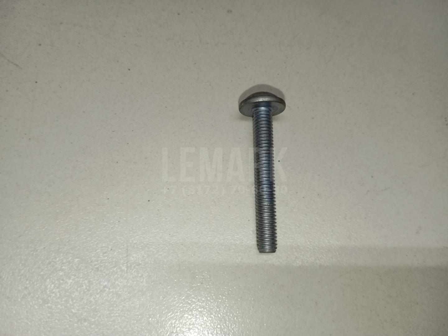 Винт N10865901 VAG