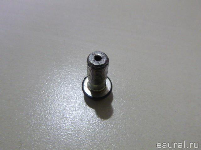 Болт полый