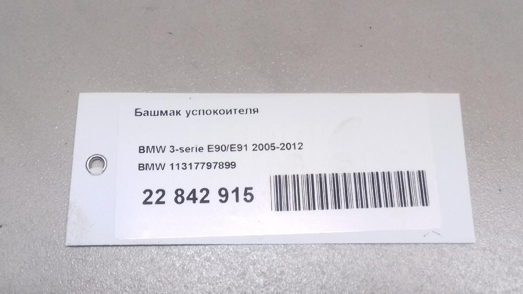 Башмак успокоителя
