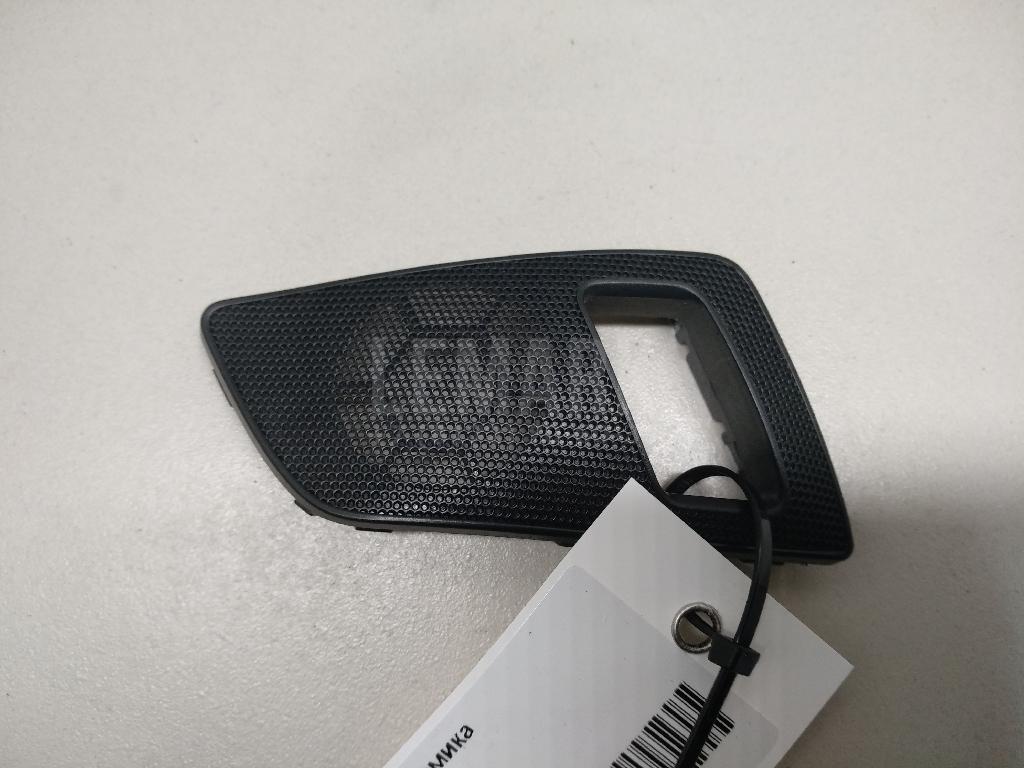 Решетка динамика 1Z0868160A VAG