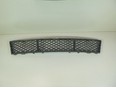 Решетка в бампер центральная