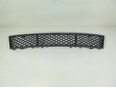 Решетка в бампер центральная