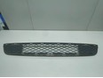 Решетка в бампер центральная