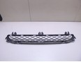 Решетка в бампер центральная