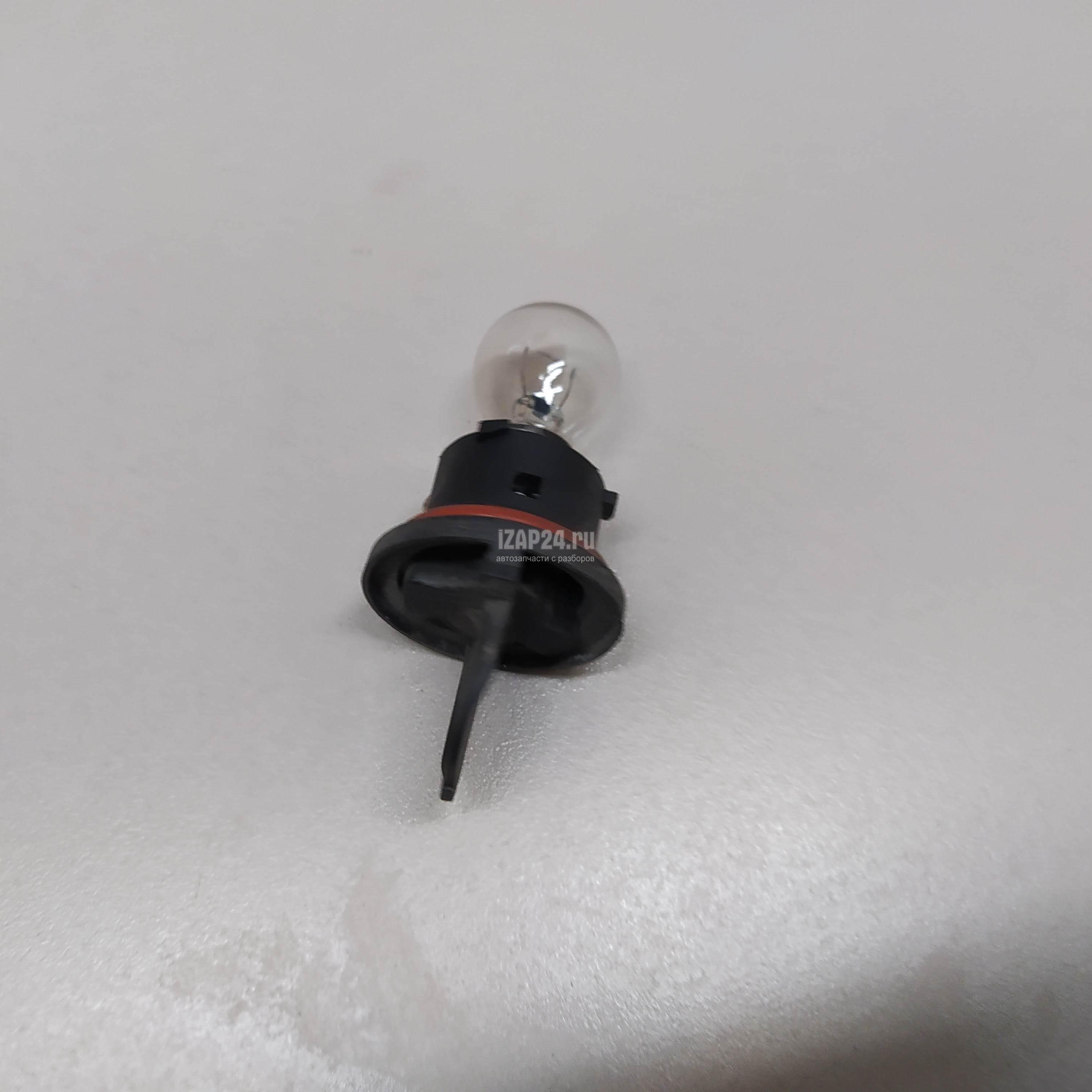 Лампы рено симбол. Лампочки рено меган 1. Лампочки в рено логан 1 цоколь. Лампа ближнего света рено сценик 2. Лампа поворотники на рено меган 2.