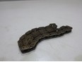 Цепь масляного насоса