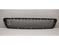 Решетка в бампер центральная
