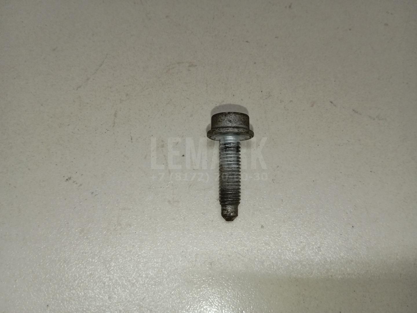 Винт N10644701 VAG
