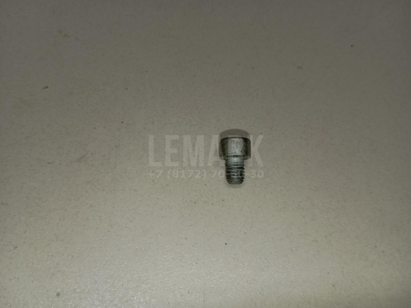 Винт N10313302 VAG