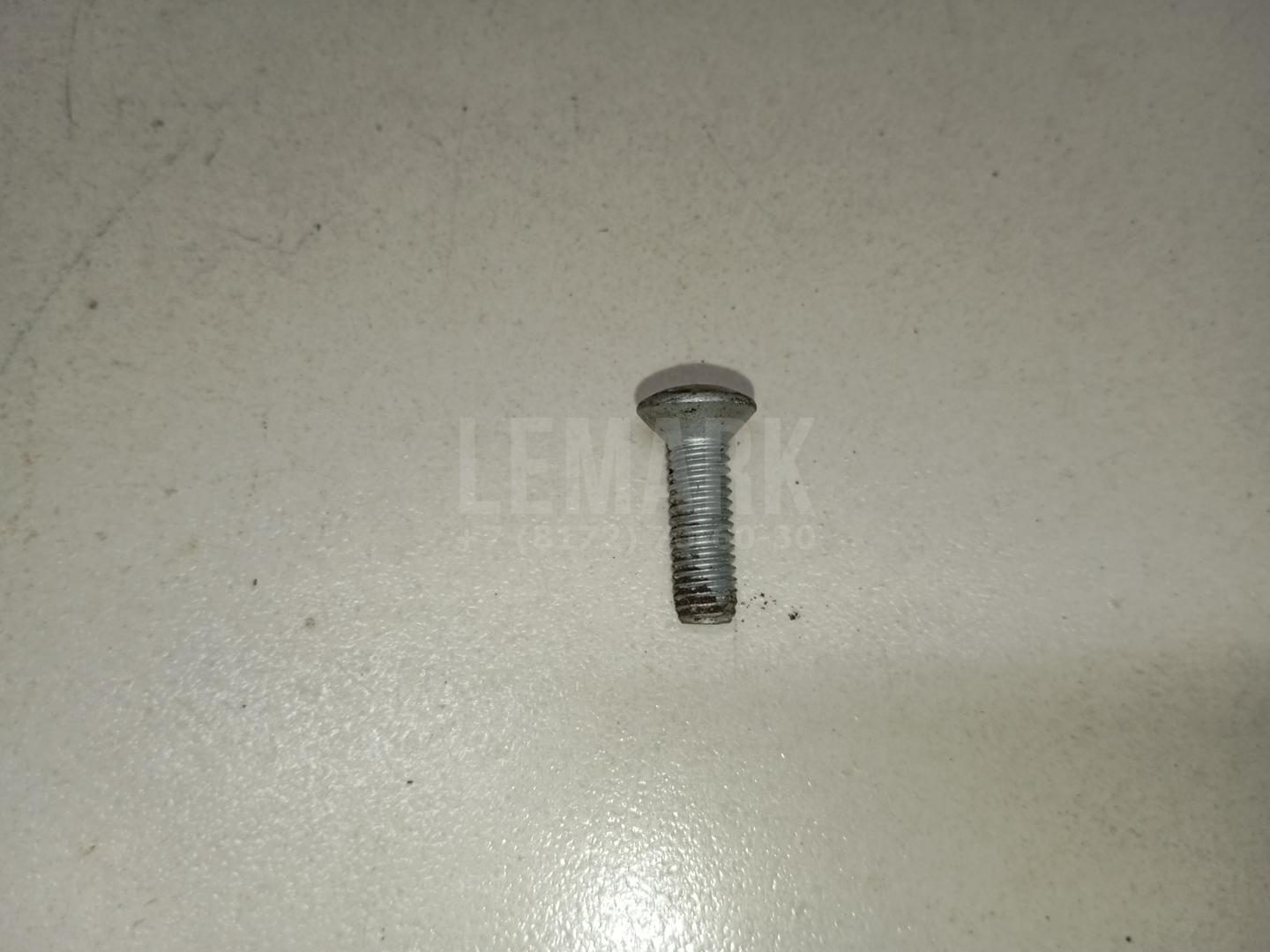Винт N10505404 VAG