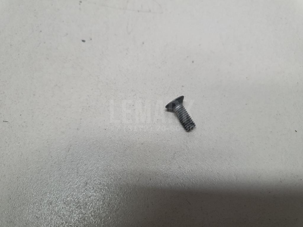 Винт Q2580616T1FDE Great Wall