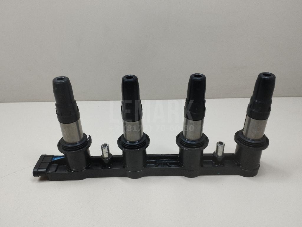 Рампа (кассета) катушек зажигания CE0184112B1A Delphi