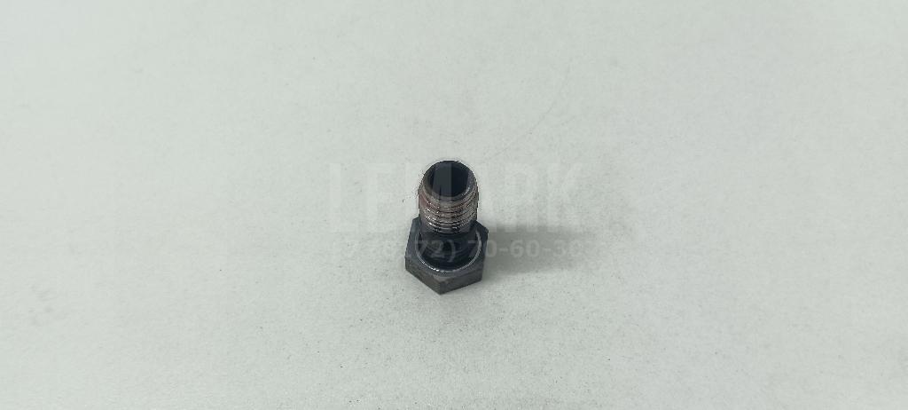 Болт полый для  BMW 7-serie E65/E66 2001-2008